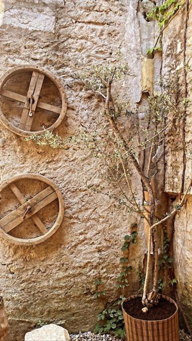 Aux Quatre Voutes Villa Saint-Marcel-d'Ardeche Eksteriør billede